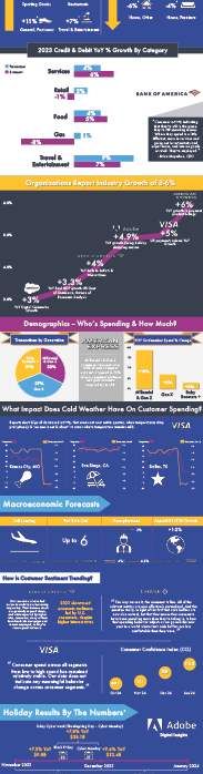 Q4 & Holiday Season Banking, Credit Card, Adobe, & Salesforce Key Insights Infographics